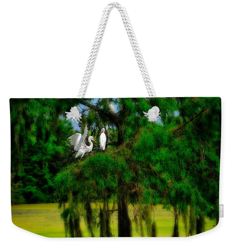 Birds Weekender Tote Bag featuring the photograph Egret Tree by Harry Spitz