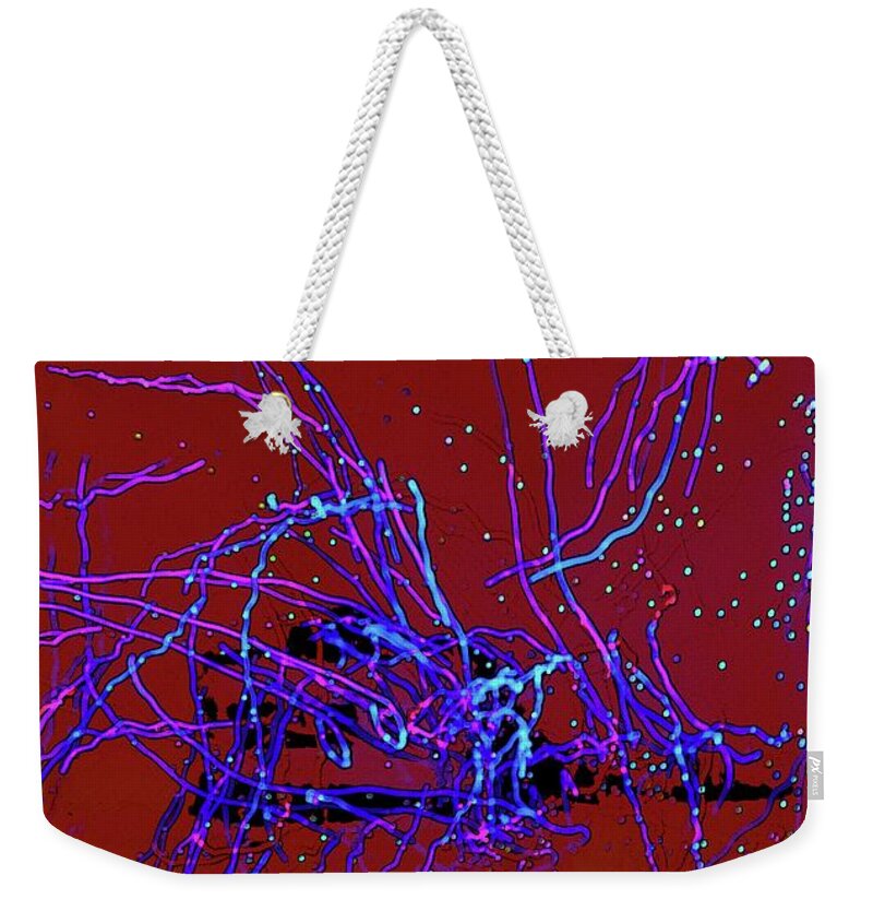 Abstract Weekender Tote Bag featuring the photograph Electric Insect by Craig Wood