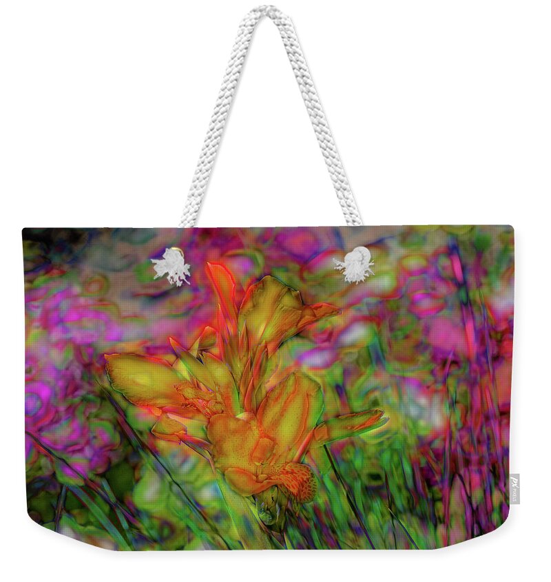 Cathy Donohoue Photography Weekender Tote Bag featuring the photograph Electric Slide by Cathy Donohoue