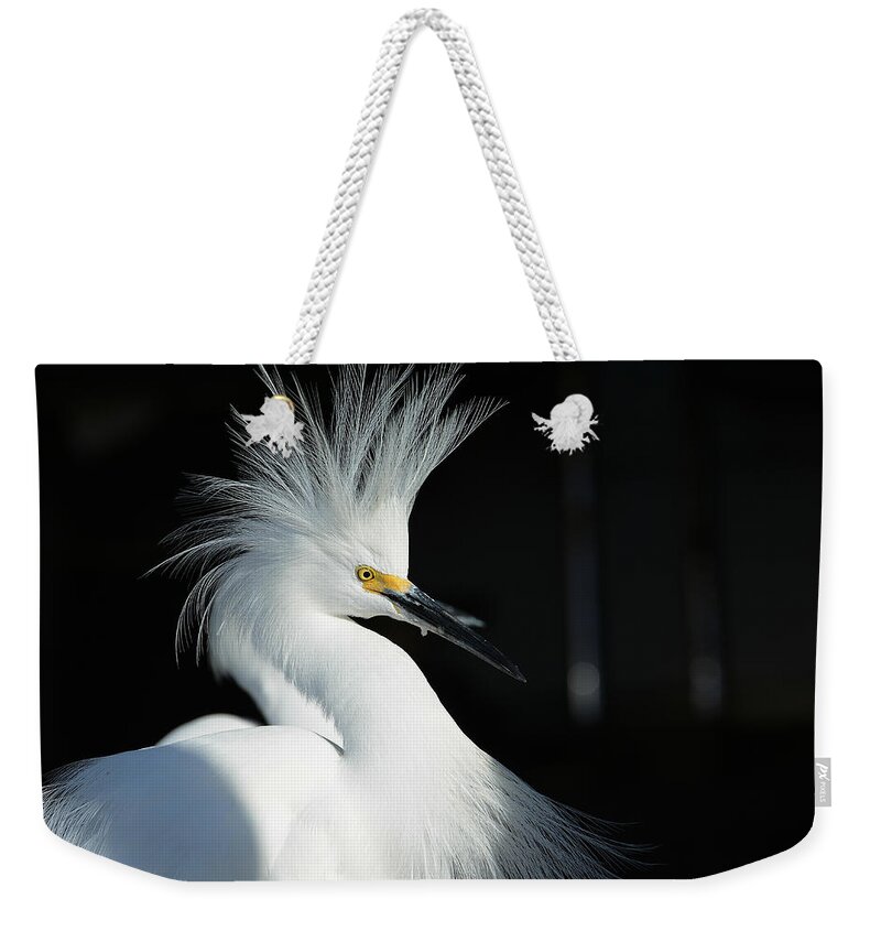 Snowy Egret Weekender Tote Bag featuring the photograph Electrifying by Fraida Gutovich