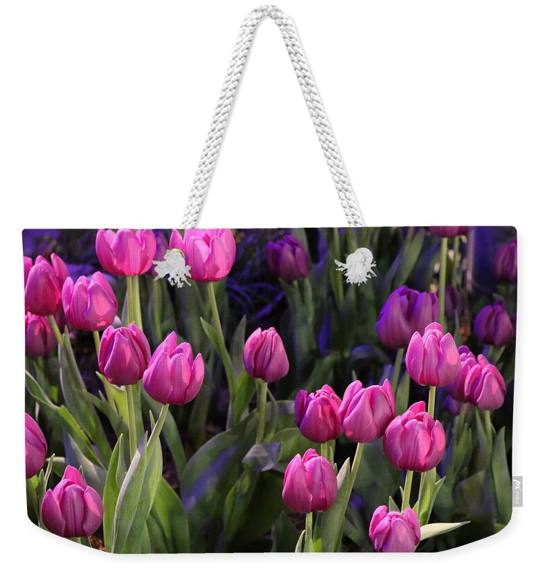 Tulips Weekender Tote Bag featuring the photograph Electrifying by Living Color Photography Lorraine Lynch
