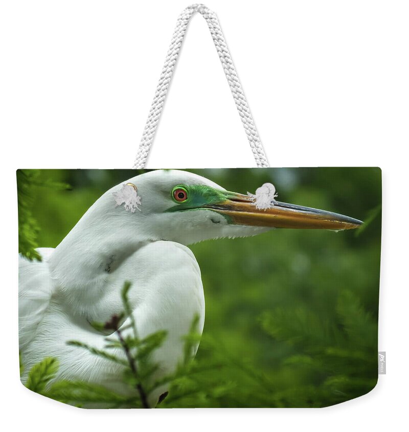 White Egret Portraits Weekender Tote Bag featuring the photograph ELEGANCE in CYPRESS by Karen Wiles