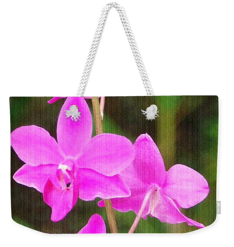Orchid Weekender Tote Bag featuring the photograph Elegance in Nature by Sue Melvin