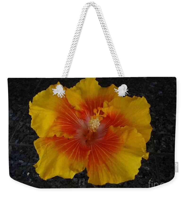 Hibiscus Weekender Tote Bag featuring the painting Elegance by Jenny Lee
