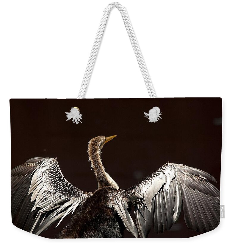Wildlife Weekender Tote Bag featuring the photograph Elegant Anhinga by Kenneth Albin