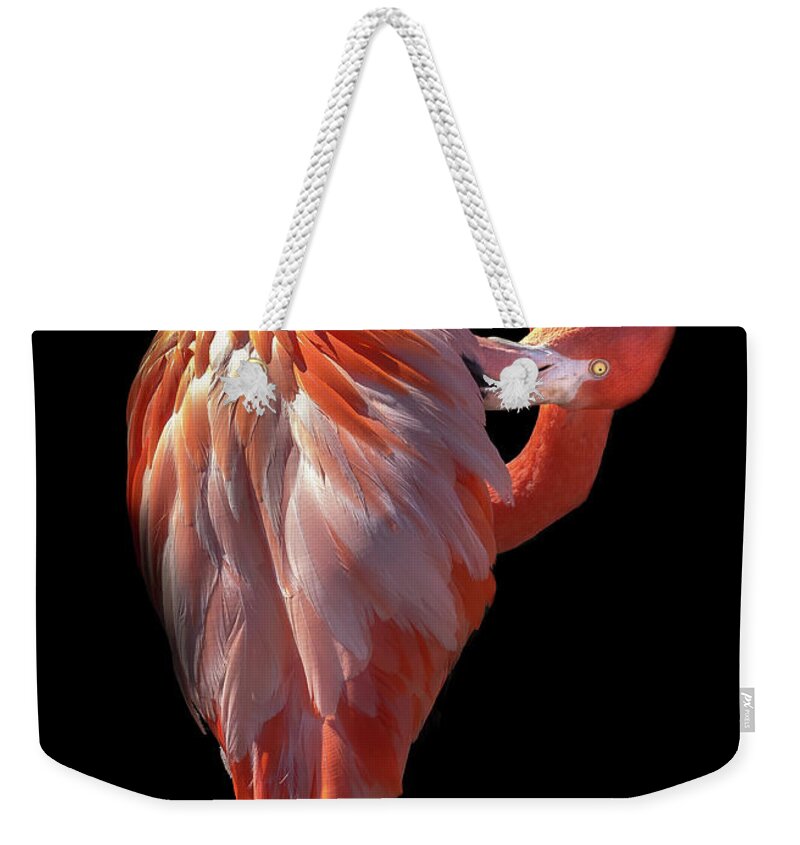 Dramatic Lighting Weekender Tote Bag featuring the photograph Elegant Flamingo Preening by Liesl Walsh