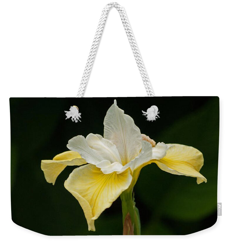 Flower Weekender Tote Bag featuring the photograph Elegant Floral by Elsa Santoro