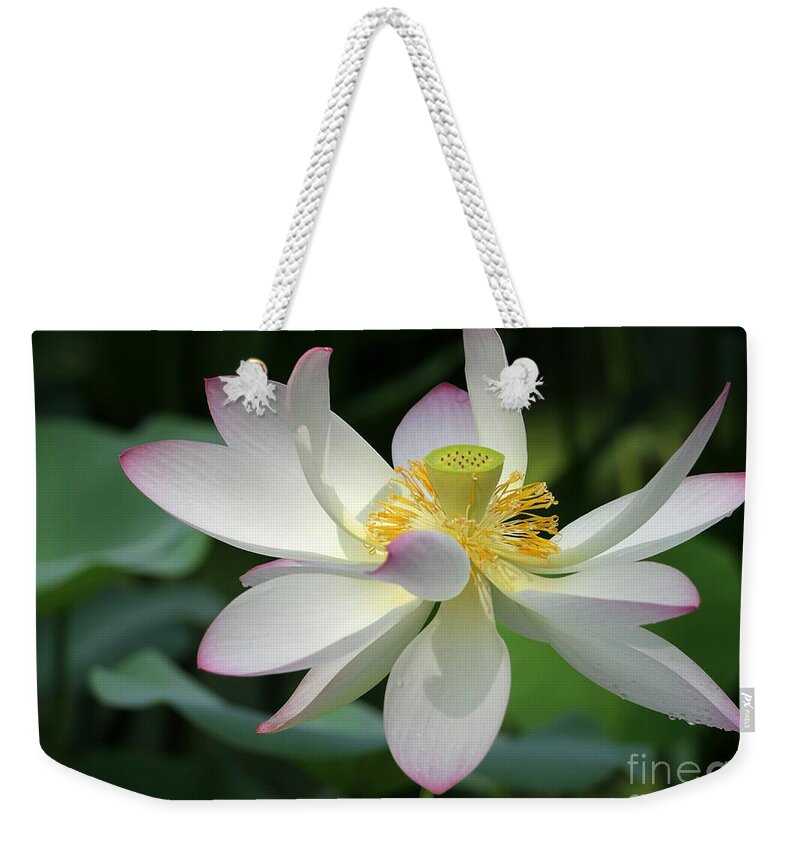 Lotus Weekender Tote Bag featuring the photograph Elegant Lotus by Sabrina L Ryan