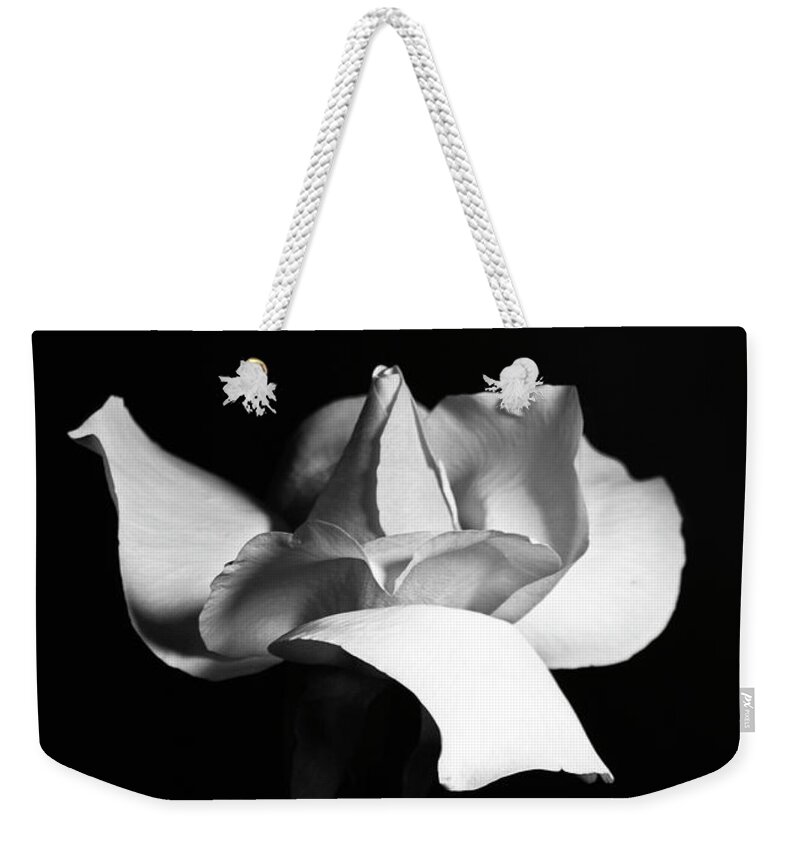 Rose Weekender Tote Bag featuring the photograph Elegant Rose by Elsa Santoro