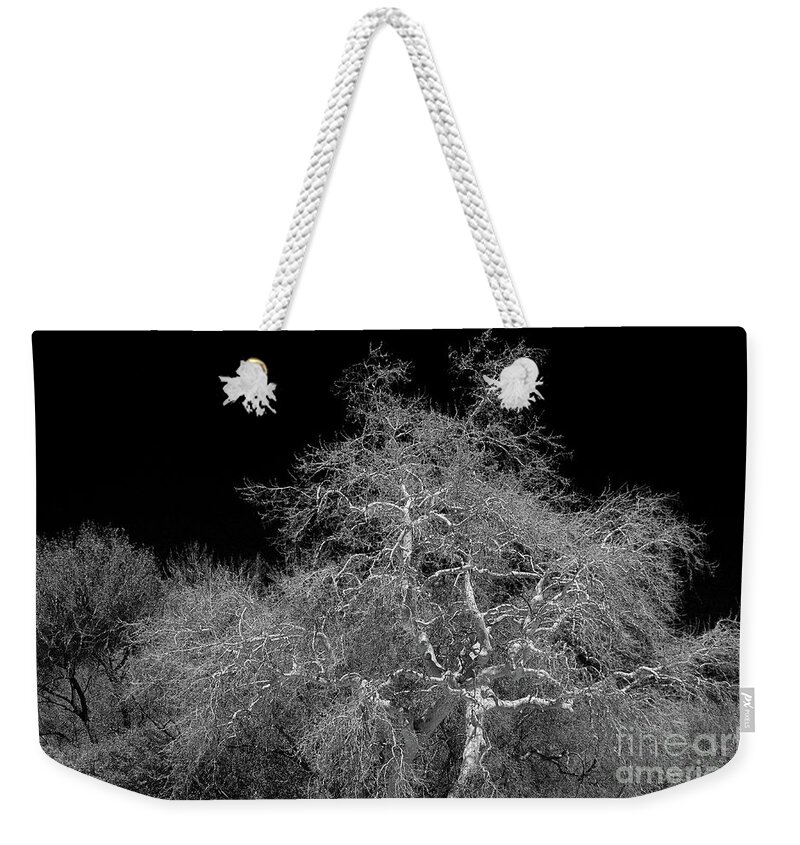 Photograph Weekender Tote Bag featuring the photograph Element of Purity by Vicki Pelham
