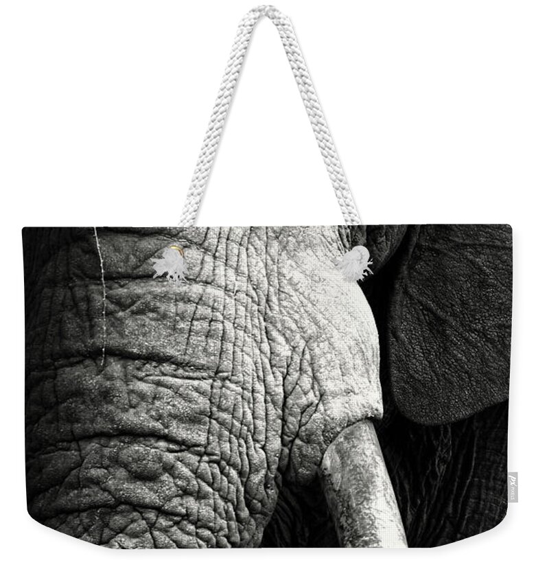 Elephant Weekender Tote Bag featuring the photograph Elephant close-up portrait by Johan Swanepoel