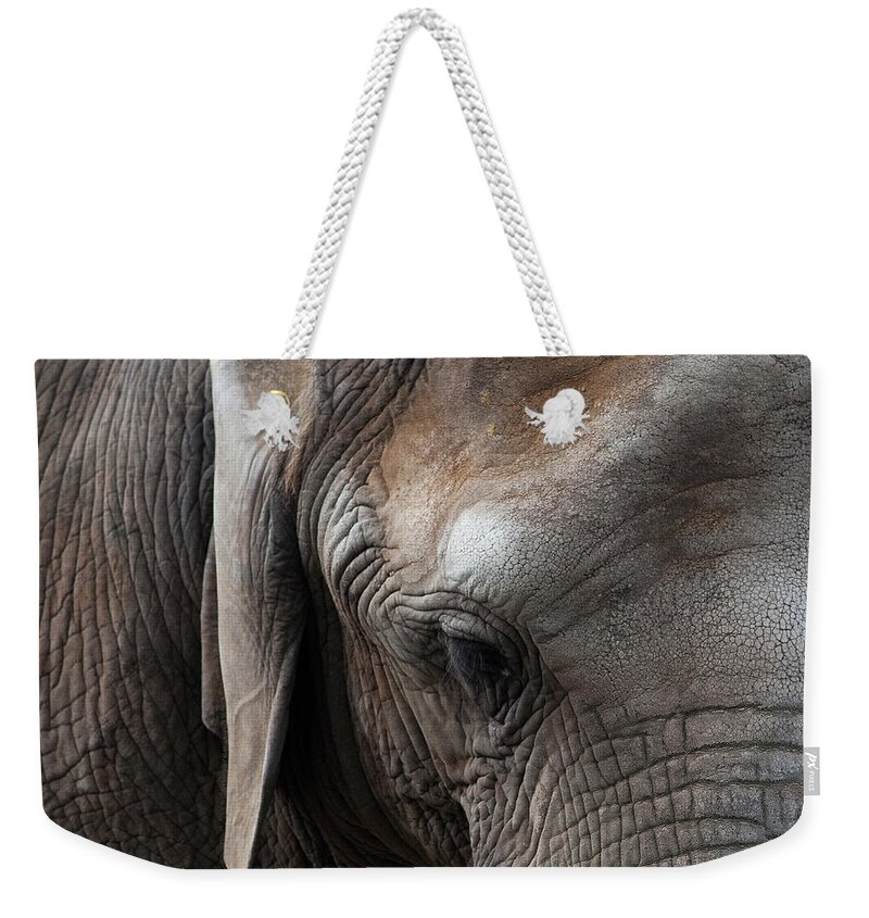 Elephant Weekender Tote Bag featuring the photograph Elephant Eye by Lorraine Devon Wilke