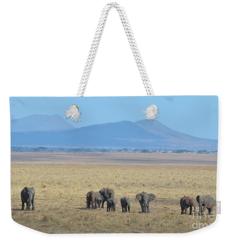 Family Weekender Tote Bag featuring the photograph Elephant Family Scenic Backdrop Tanzania by Tom Wurl
