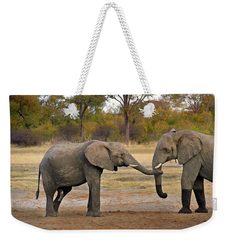 Elephant Weekender Tote Bag featuring the photograph Elephant Greeting by Ted Keller