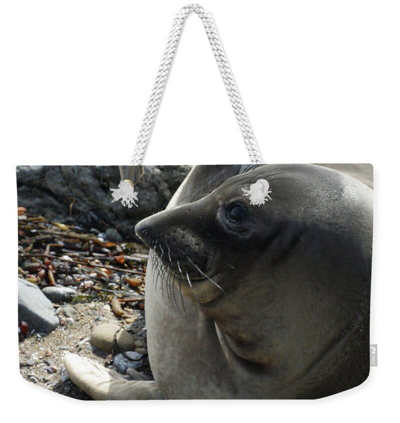 Elephant Seals Weekender Tote Bag featuring the photograph Elephant Seal by Ernest Echols