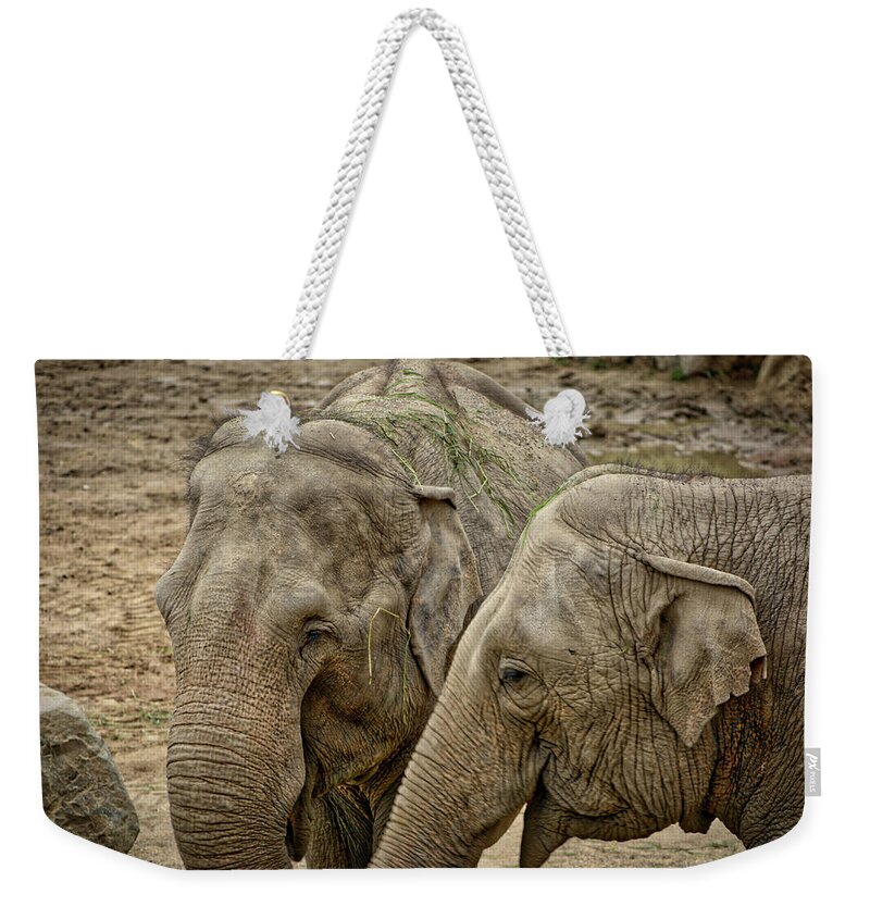 Wildlife Weekender Tote Bag featuring the photograph Elephants by Ingrid Dendievel
