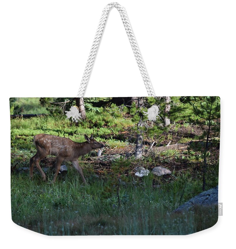 Animal Weekender Tote Bag featuring the photograph Baby Elk RMNP CO by Margarethe Binkley