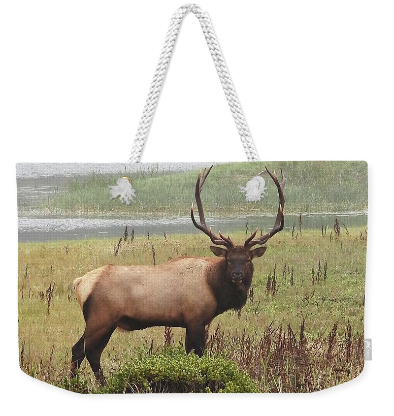 Elk Weekender Tote Bag featuring the photograph Elk Buck by Sandra Peery