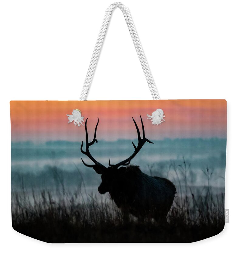 Jay Stockhaus Weekender Tote Bag featuring the photograph Elk by Jay Stockhaus
