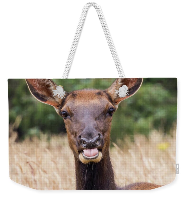 Redwood National Park Weekender Tote Bag featuring the photograph Elk by Paul Schultz