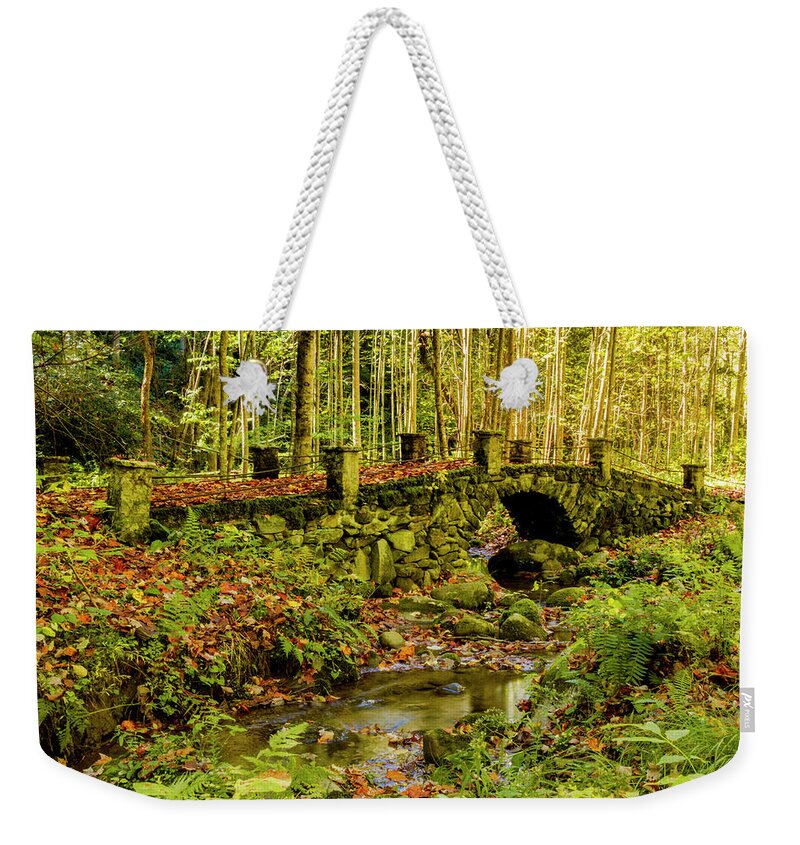 Great Smoky Mountains Weekender Tote Bag featuring the photograph Elkmount Troll Bridge in the Smokie Mountains by Teri Virbickis