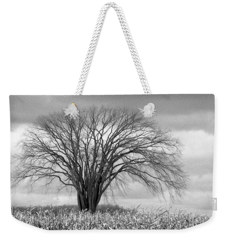Elm Weekender Tote Bag featuring the photograph Elm Fortress by Jill Love