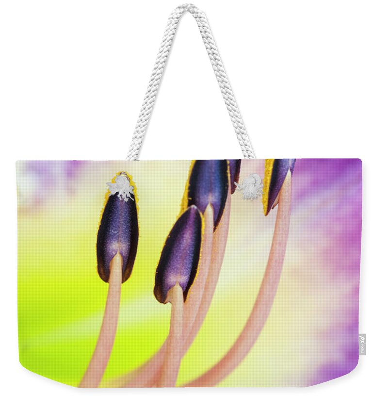 Daylily Weekender Tote Bag featuring the photograph Emerging from fire. by Usha Peddamatham