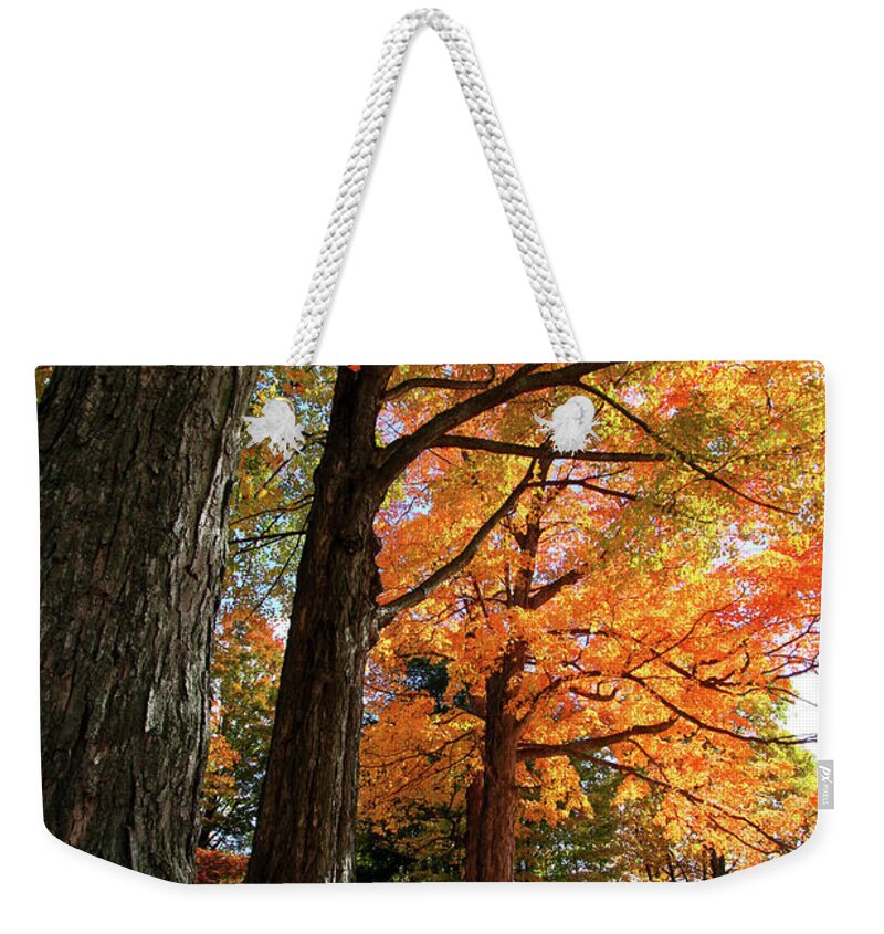 Photography Weekender Tote Bag featuring the photograph Emery Farm Trees Fall Foliage by Brett Pelletier