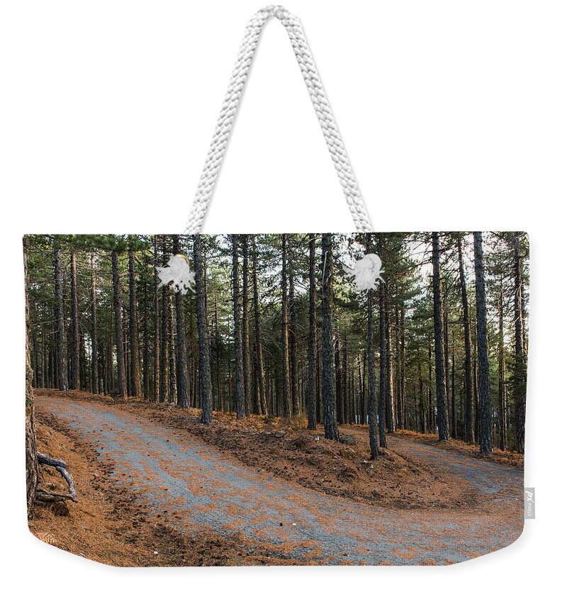 Forest Landscape Weekender Tote Bag featuring the photograph Empty road passing through the forest in Autumn by Michalakis Ppalis