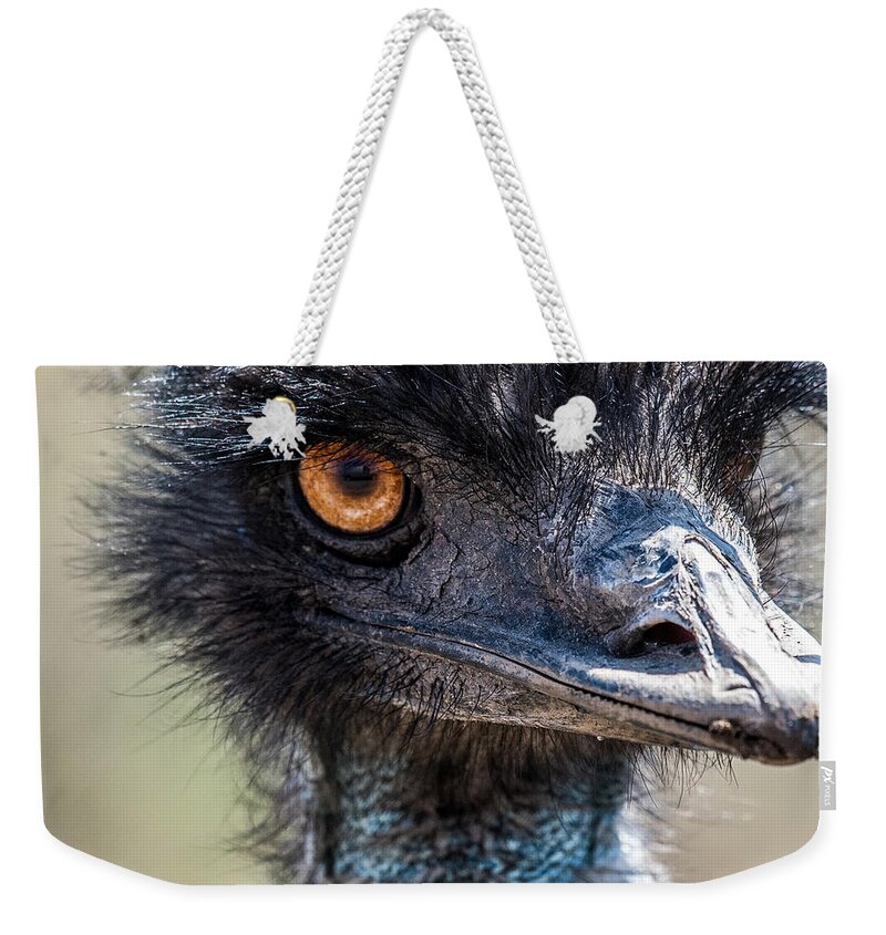 Emu Weekender Tote Bag featuring the photograph Emu Eyes by Paul Freidlund