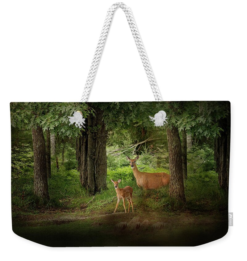 Deer Print Weekender Tote Bag featuring the photograph Enchanted Forest Deer Print by Gwen Gibson