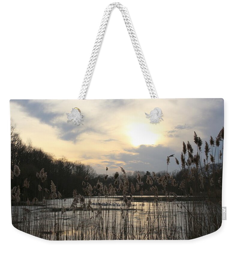 Winter Weekender Tote Bag featuring the photograph End of Day Reflections by Dora Sofia Caputo