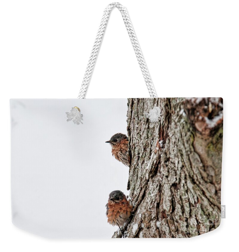 Birds Weekender Tote Bag featuring the photograph End of Winter by David Arment