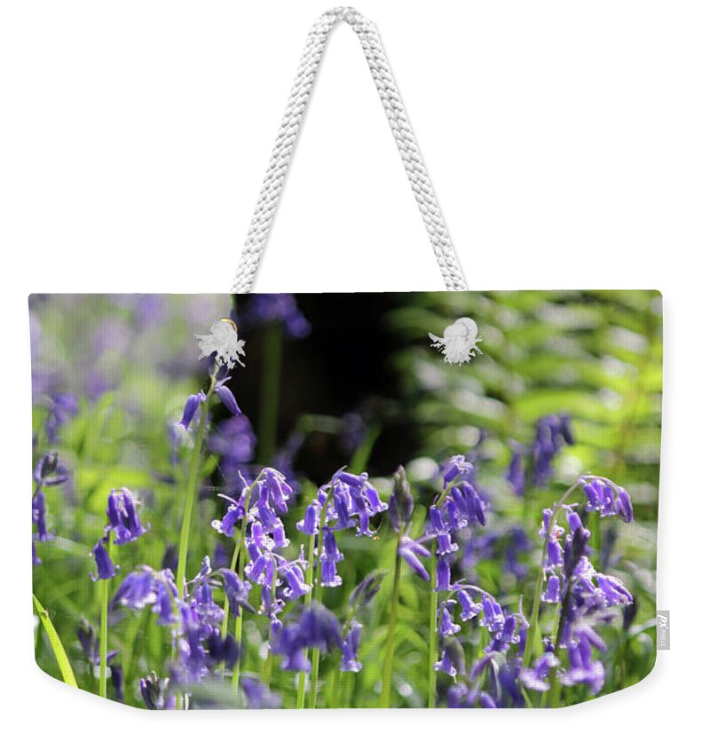 English Bluebells In Bloom Epsom Surrey Uk Wood English Bluebells Wood Effingham Surrey Uk Countryside Landscape Blue Flowers Traditional Scene Woodland Bluebell Forest Picturesque Beech Trees Tree Trunk Weekender Tote Bag featuring the photograph English Bluebell Wood by Julia Gavin