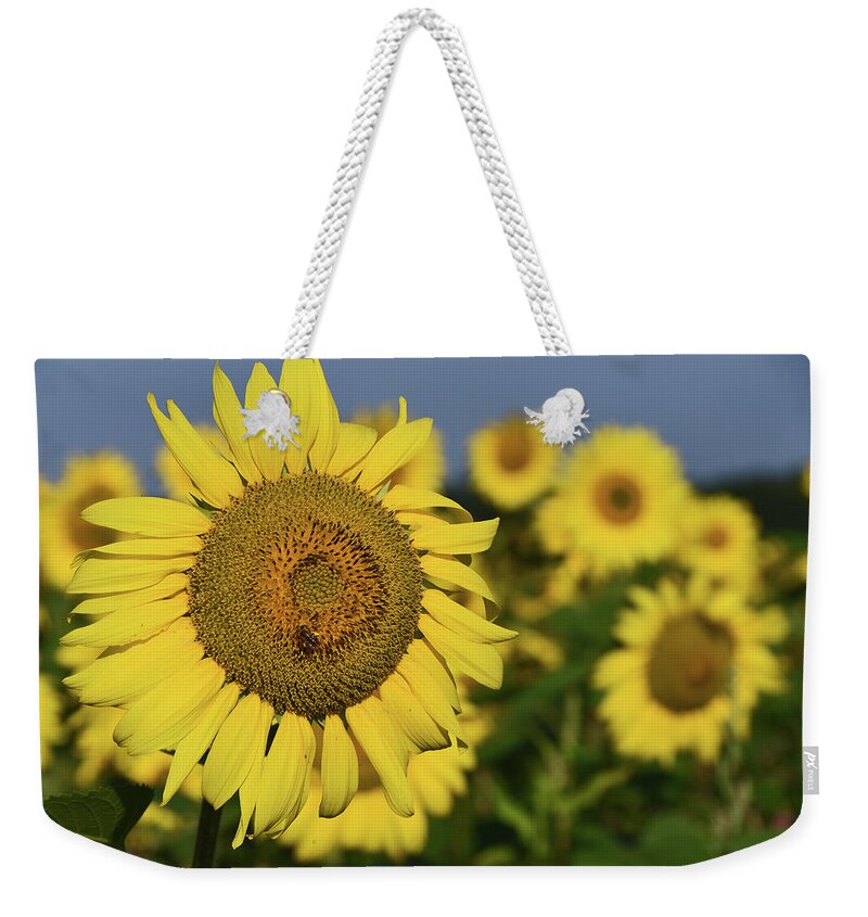 Sun Weekender Tote Bag featuring the photograph Enjoying Sunshine by Mike Martin
