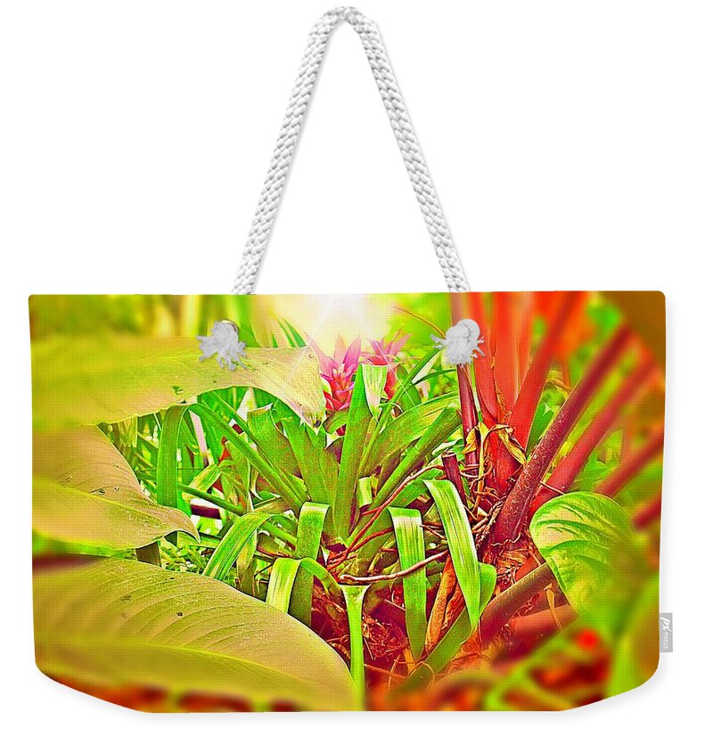 Plants Weekender Tote Bag featuring the photograph Enter the Garden by Mindy Newman