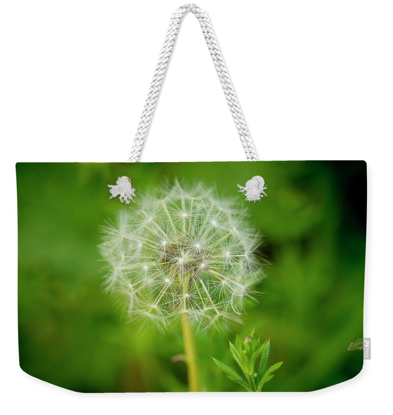 Dandelion Weekender Tote Bag featuring the photograph Entirety of Dent-de-Lion. by Elena Perelman