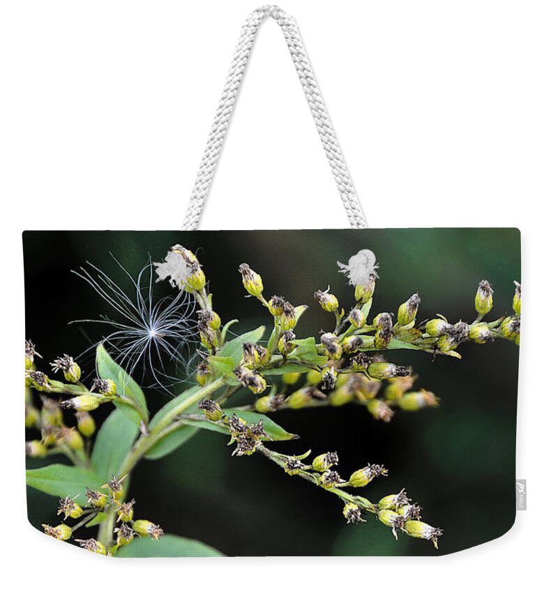 Thistle Weekender Tote Bag featuring the photograph Entrapped by Mark Fuller