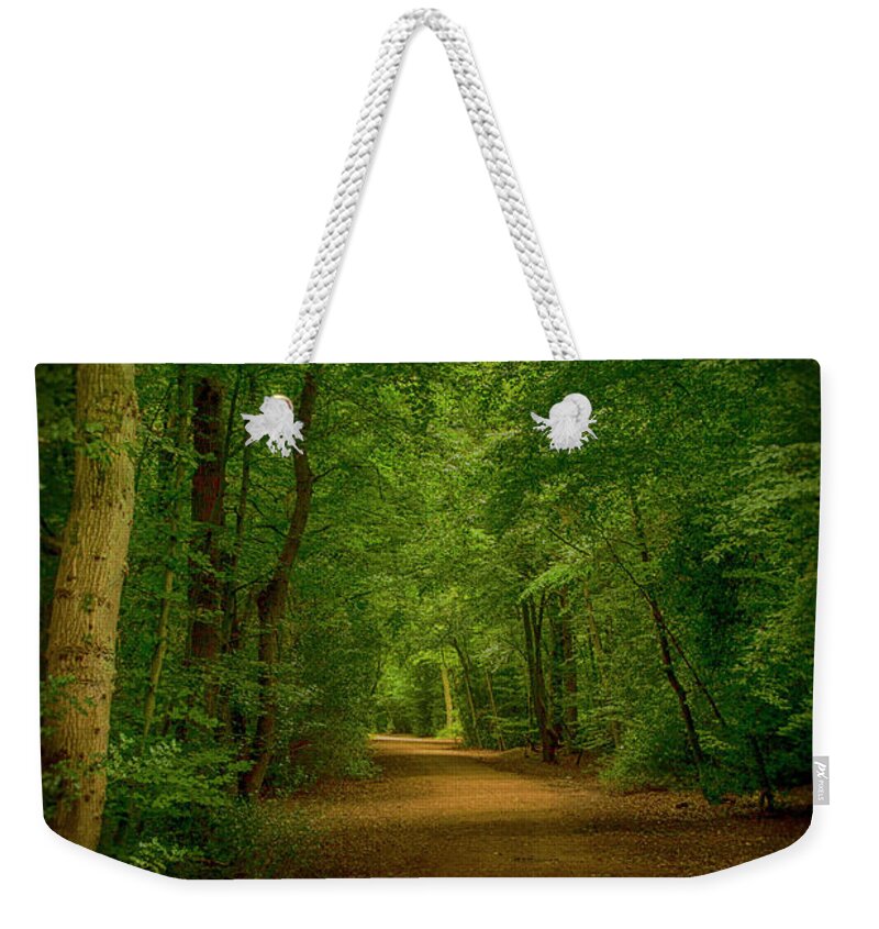 Epping Forest Weekender Tote Bag featuring the photograph Epping Forest Walk by David French