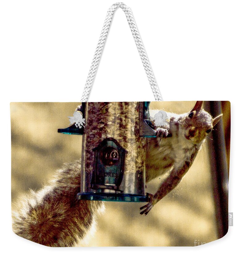 Bird Feeder Weekender Tote Bag featuring the photograph Equal Access by William Norton
