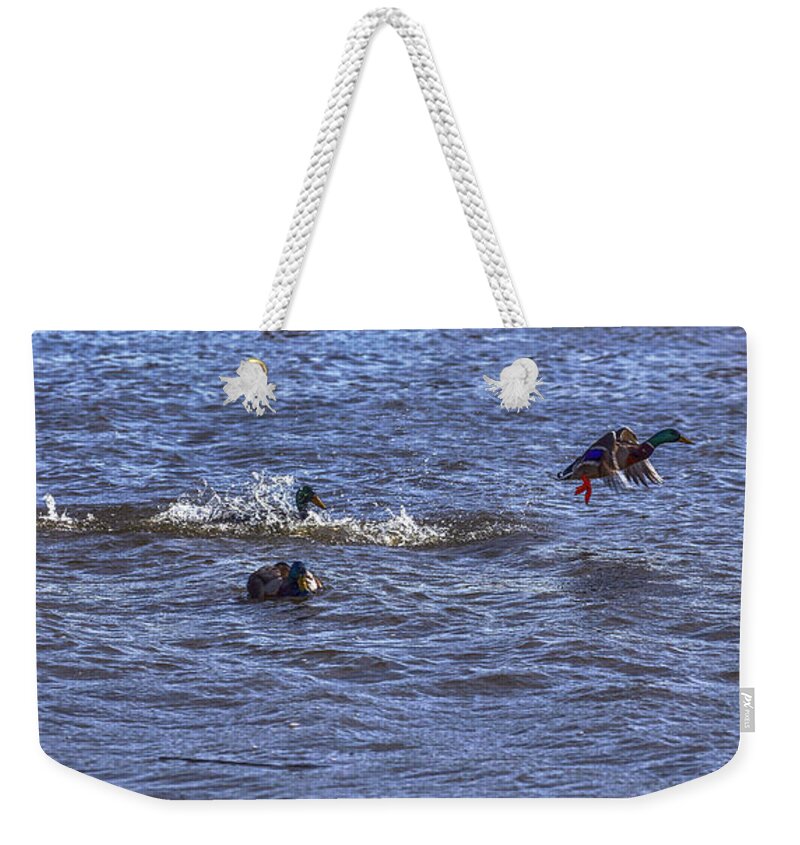 Escape Weekender Tote Bag featuring the photograph Escape 3 #g2 by Leif Sohlman