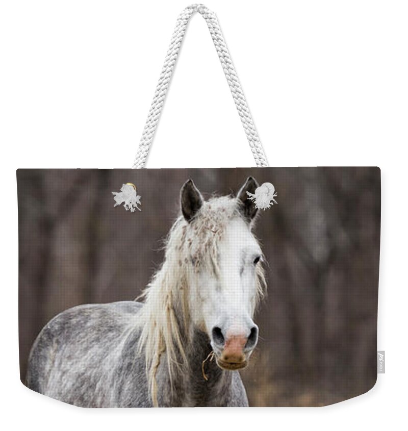 Horse Weekender Tote Bag featuring the photograph Escape by Holly Ross