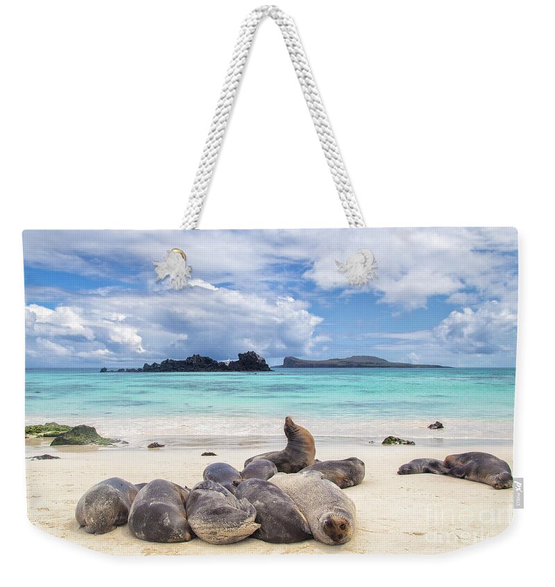 Galapagos Weekender Tote Bag featuring the photograph Espaniola by Becqi Sherman