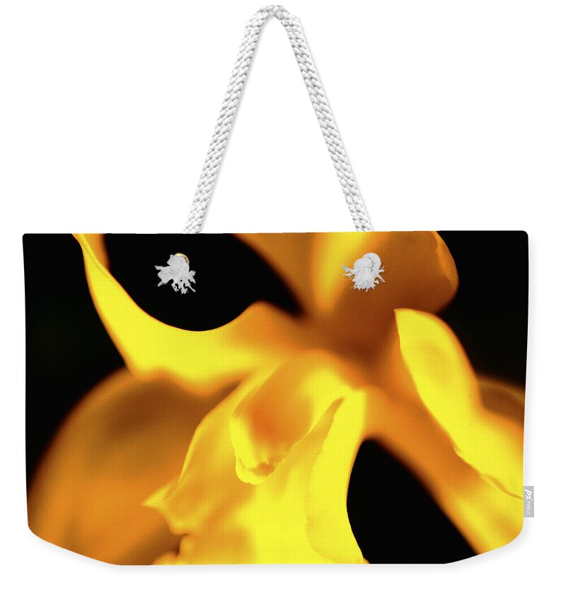 Yellow Orchid Weekender Tote Bag featuring the photograph Espoir N.1 by Bellanda