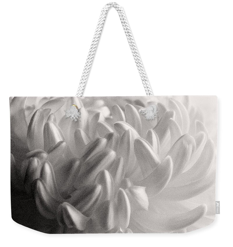 Nature Weekender Tote Bag featuring the photograph Ethereal Chrysanthemum by Zayne Diamond Photographic