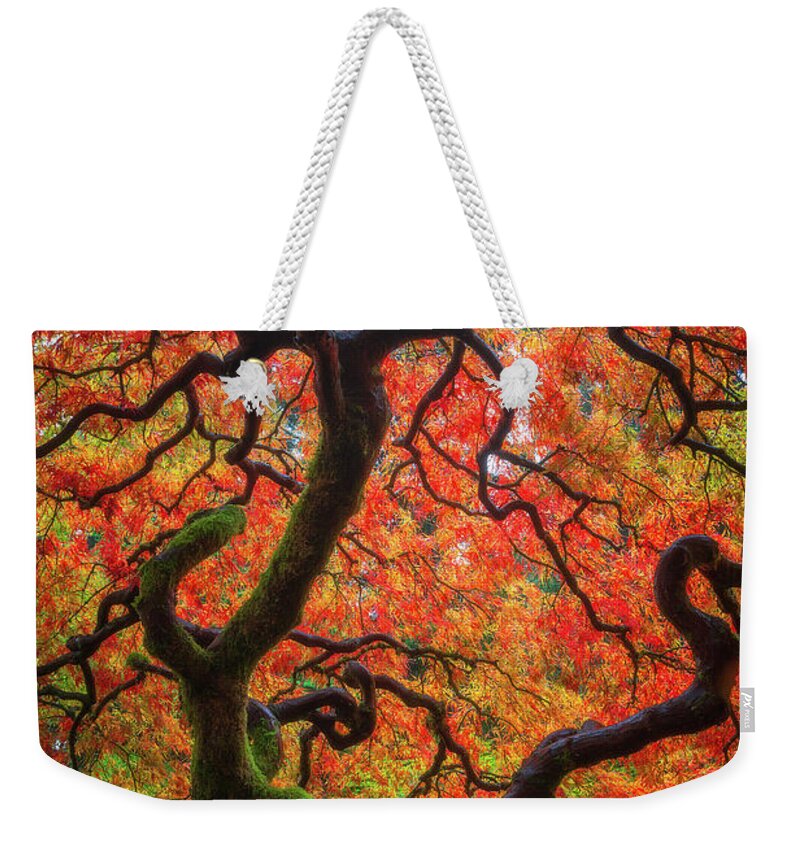 Trees Weekender Tote Bag featuring the photograph Ethereal Tree Alive by Darren White