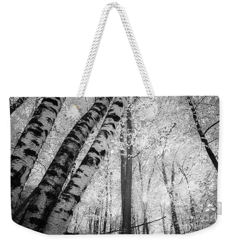 Minnesota Weekender Tote Bag featuring the photograph Ethereal Woods by Becqi Sherman