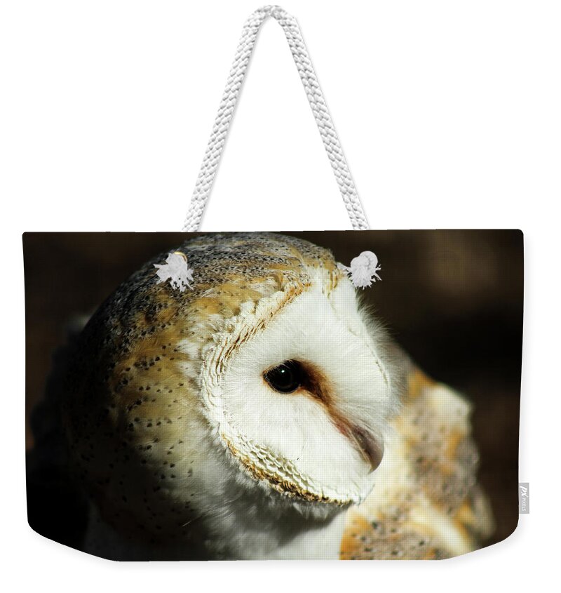 Owl Weekender Tote Bag featuring the photograph European Barn Owl by Holly Ross