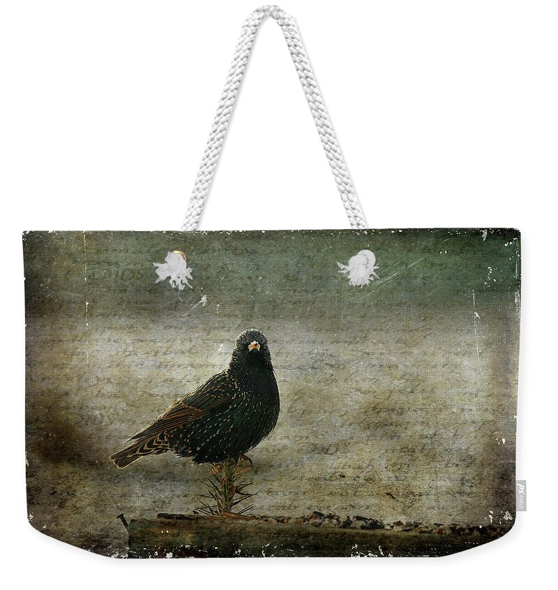 Cindi Ressler Weekender Tote Bag featuring the photograph European Starling by Cindi Ressler