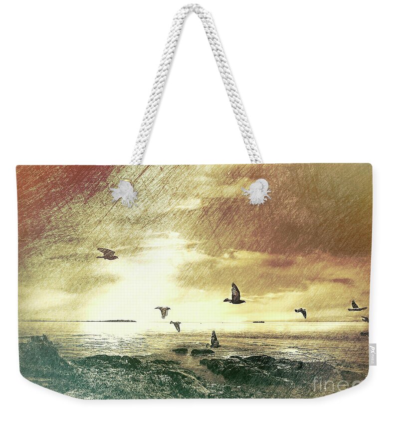 Birds Weekender Tote Bag featuring the photograph Evening Flight by Barry Weiss